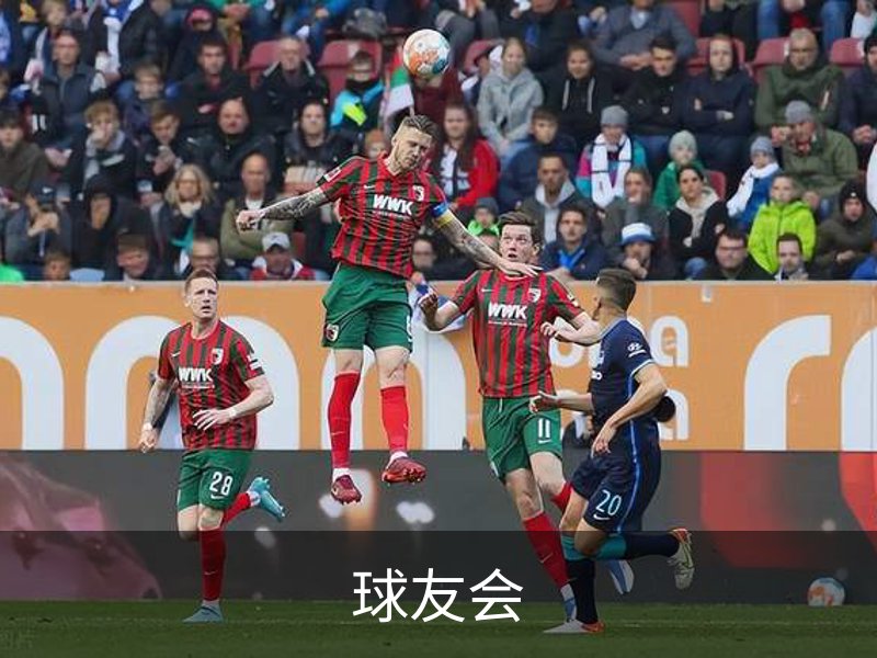企业简介